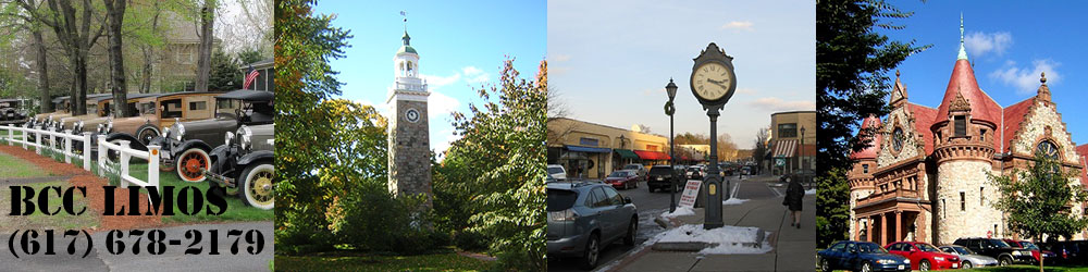 Wellesley limo service